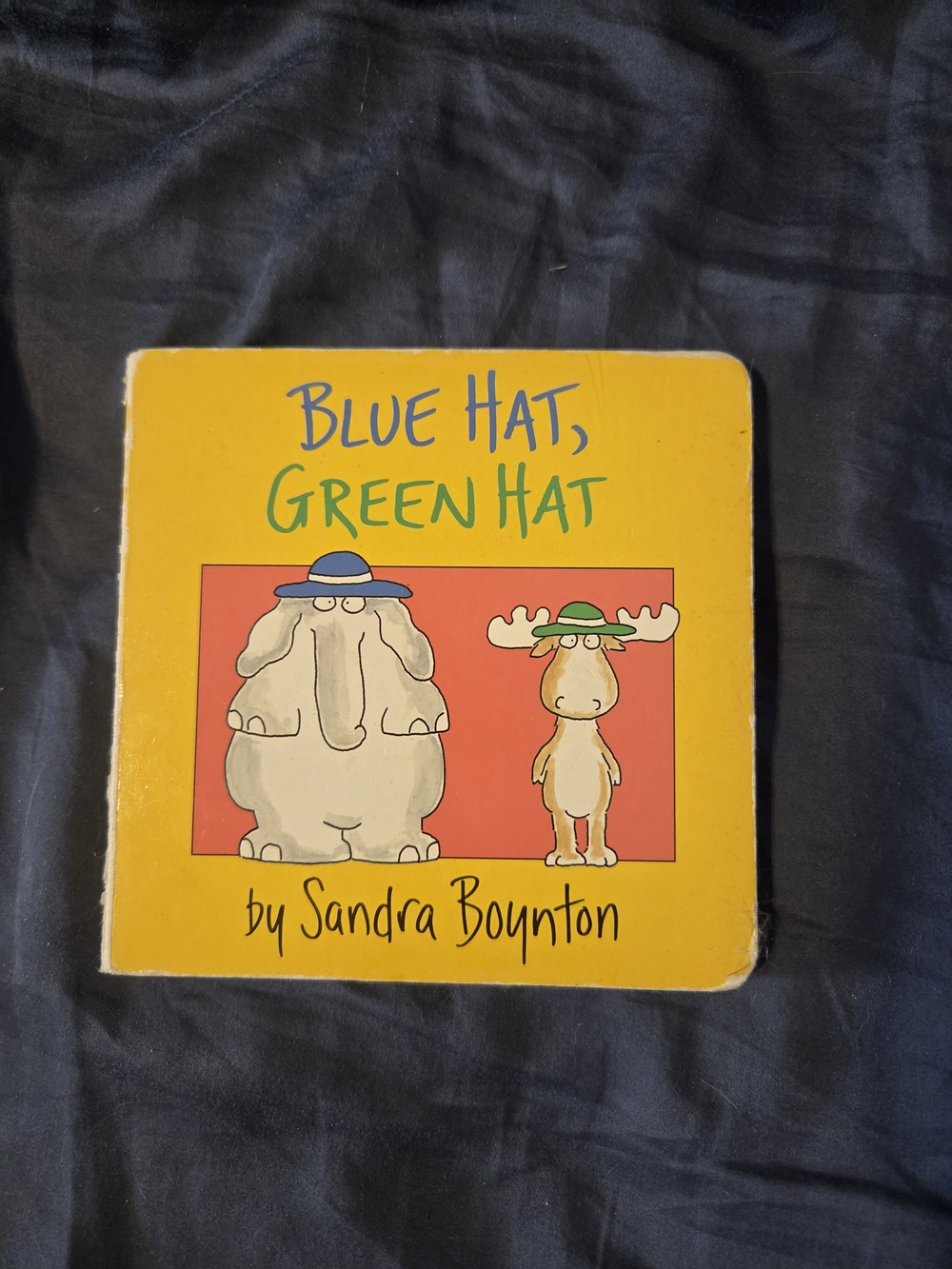 Blue Hat, Green Hat Kids Board Book - Yellow Cover